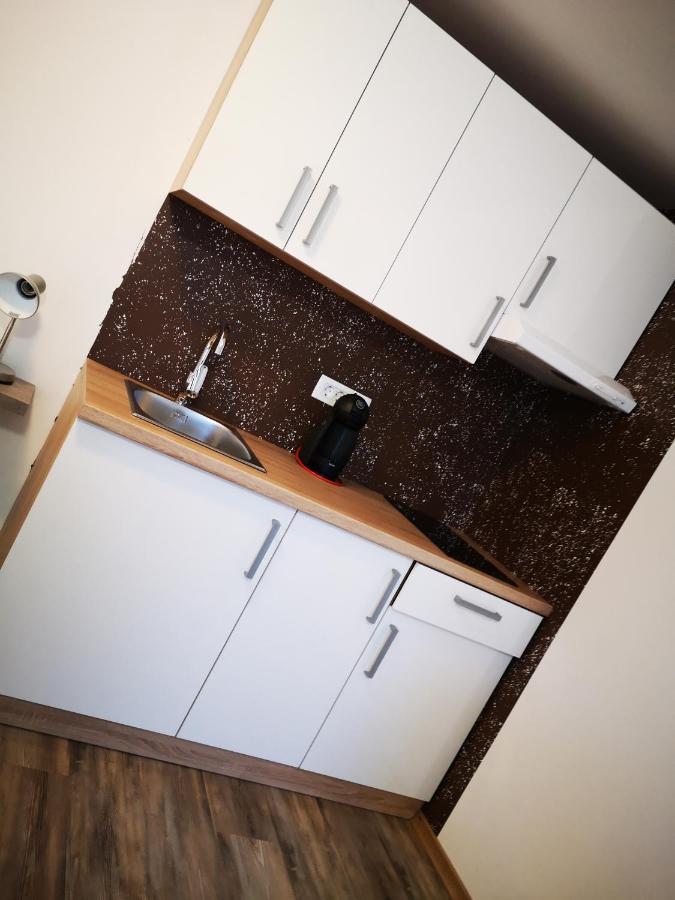 Apartments Ema ポドチェトルテク エクステリア 写真