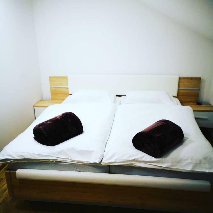 Apartments Ema ポドチェトルテク エクステリア 写真